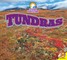 Tundra