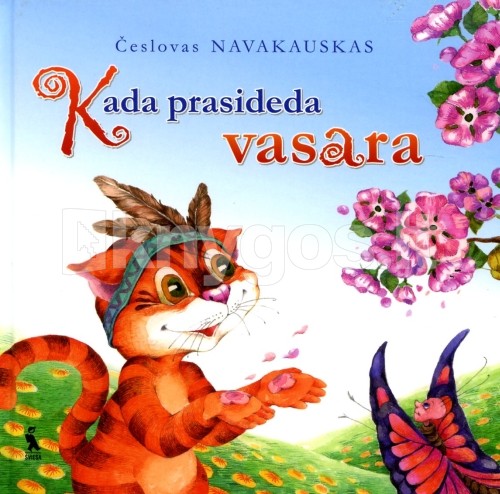 Kada prasideda vasara (skaityta knyga) | Knygos.lt