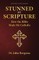 Stunned by Scripture