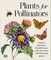 Plants for Pollinators