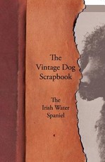 The Vintage Dog Scrapbook - The Irish Water Spaniel