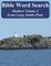 Bible Word Search Matthew Volume 4