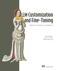 LLM Customization and Fine-Tuning