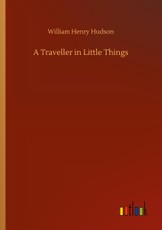A Traveller in Little Things