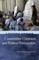 Conservative Christians and Political Participation