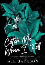 Catch Me When I Fall (Hardcover)