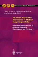 Advanced Algorithmic Approaches to Medical Image Segmentatio