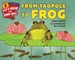 From Tadpole to Frog