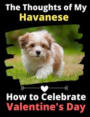 The Thoughts of My Havanese