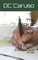 The Book of 'to-Do Lists'