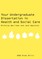 Your Undergraduate Dissertation in Health and Social Care