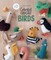 Colorful Crochet Birds