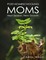 Post Homeschooling Moms