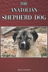 The Anatolian Shepherd Dog