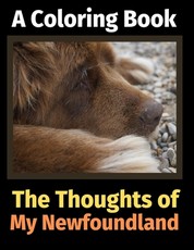 The Thoughts of My Newfoundland
