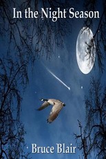 In the Night Season