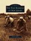 Pine Barrens of New Jersey