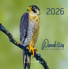 Sieninis paukščių kalendorius 2026