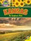 Kansas: The Sunflower State