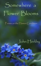 Somewhere A Flower Blooms