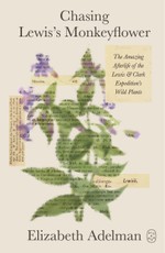 Chasing Lewis's Monkeyflower