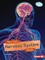 How Your Nervous System Works