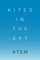 Kites in the Sky
