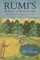 Rumi's Birds of Wonder