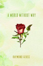 World without Why