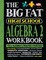 The Big Fat High School Algebra 2 Workbook