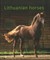 Lithuanian Horses