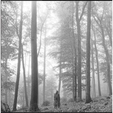 Vinilinė plokštelė LP TAYLOR SWIFT „Folklore“ (2LP)