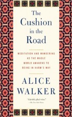 The Cushion in the Road