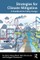Strategies for Climate Mitigation