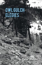 Owl Gulch Elegies