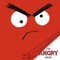 The Angry Book