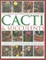 The Complete Illustrated Guide to Growing Cacti & Succulents