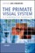 The Primate Visual System
