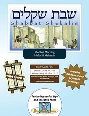 Bar/Bat Mitzvah Survival Guides