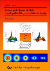 Fusion and Fission of Fluid Amphiphilic Bilayers: a Kinetic Study