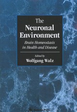 The Neuronal Environment
