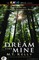 Dream Like Mine