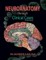 Neuroanatomy through Clinical Cases