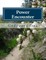 Power Encounter