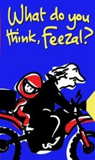 What do you think, Feezal?