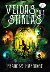 Veidas kaip stiklas (knyga su defektais)