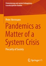 Pandemics as Matter of a System Crisis