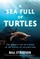 A Sea Full of Turtles
