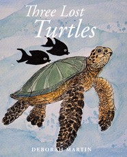 Three Lost Turtles