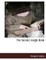 The Second Jungle Book